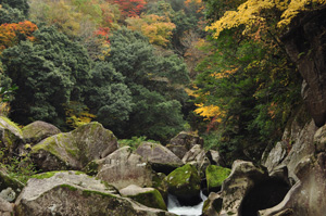 鬼の舌震いの紅葉