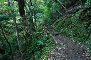 遊歩道