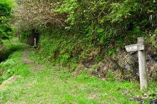 清滝遊歩道