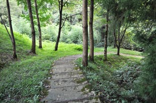 遊歩道に入り雲見の滝へ