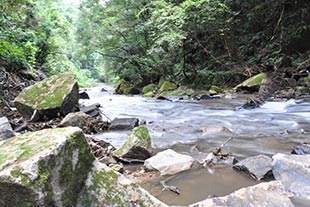 雲見の滝の下流域