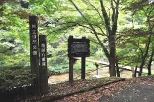 遊歩道から八重滝へ